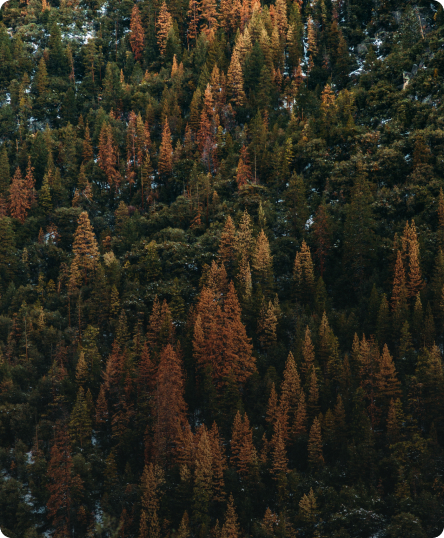 БУМАГА ИЗ КАРЕЛИИ